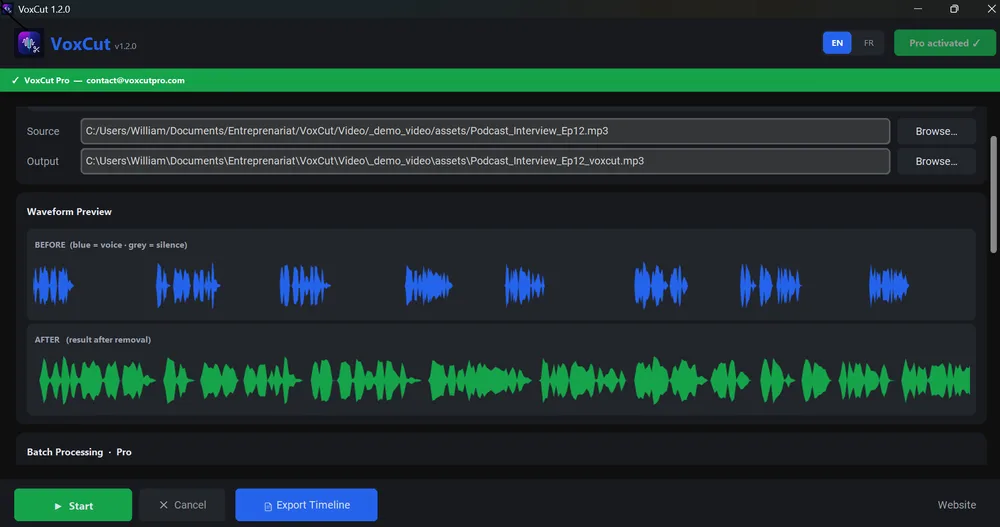 VoxCut
